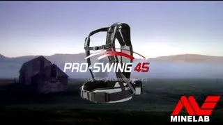 Pro Swing 45 Review