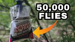 Do Bugbane Disposable Fly Traps Work?