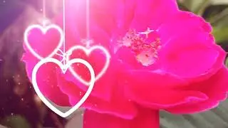 Nice status song video and best wishes song #shorts