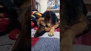 Anni Short video no. 118