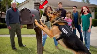 K9 Dog Uncovers Hidden Fortune &mdash; Family Secrets Revealed After Owner's Death