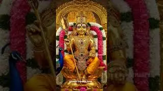 #sevalkodi #murua..🙏 #tamilgodsongs #tamilgodmurugansongs #sakthisrimathiarcot #trandingvideo