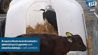 Calf Hutch CH230 - JFC Agri