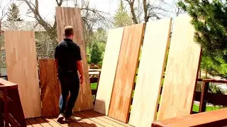 Sapele wood characteristics