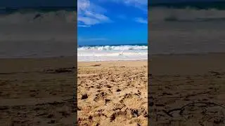 Sizing up the lineup #northshoreoahu