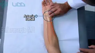 🌟RADIAL PULSE ASSESSMENT🌟