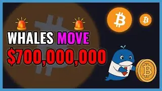 BTC Whales Just Moved $700,000,000!🚨WHALE ALERT