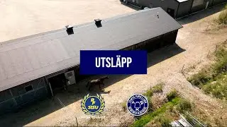 Utsl&auml;pp - T&auml;mta Ridklubb