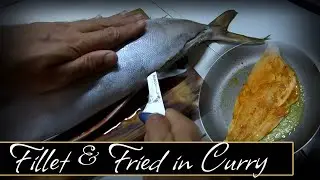 Amberjack fillet and cooked in curry