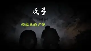 父母恩情大于天，可每晚我床头出现的影子，却让我怀疑他们的身份…
