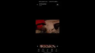 Soft, calming music to relax your dog and create a peaceful mood 💤🐶