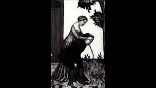 Noxius Nex - 2010 - Aeternus Noxius Nex (Full tape, Raw / Atmospheric black metal)