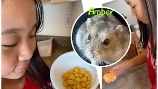 Janet made Healthy Hamster Treats! 🐹 /Janet and Kate
