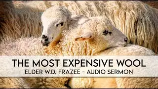The Most Expensive Wool | Elder W.D. Frazee