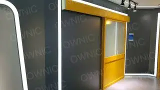 OWNIC ICU Automatic Door.