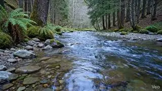 Deep River Flow Sounds for Sleep & Relaxation | Nature ASMR No Music