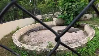 A Trip to the Zoo
