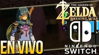 Zelda Breath Of The Wild En Vivo Nintendo Switch
