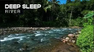 Deep Jungle River ASMR – Relax Instantly and Fall Asleep Naturally