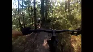Rock N roll   No pedalling