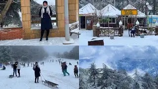 أعالي جبال الشريعة بحلة بيضاء ❤️طبيعة خلابة ،من اروع و اجمل الاماكن في الجزائر ل لازم تزورها