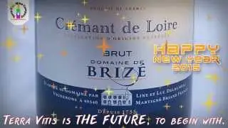 Terra Vitis is THE FUTURE,to begin with...
