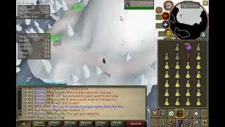 Penguin Agility - Regular VS Tick Perfect