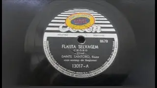 Dante Santoro &mdash; Flauta Selvagem (Harmonia Selvagem)