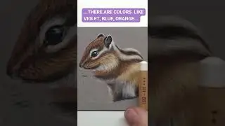How to Draw a Chipmunk&mdash;Step by Step (Easy & Fun!)