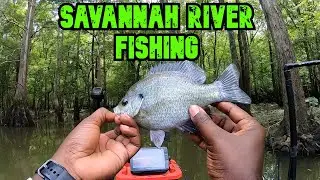 Savannah River Creek Fishing!