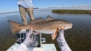 Fly Fishing for Redfish in Florida