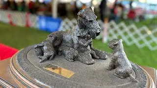 Montgomery County Kennel Club - Airedale Terriers National Specialty.