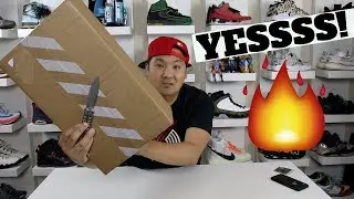 YESSSS! I Got the LIMITED Staple Pigeon Dunk Pair From NIKE SNKRS!