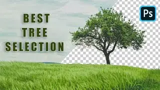 How to Select Trees using Photoshop | Difficult Selections -Tree Selection