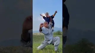 The young Shaolin monk studies hard and practices diligently #少林功夫