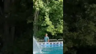 Dock dog | dockdog | watch full highlights on channel | #dogs #dockdogs #hebron #fivetreeguy #dog