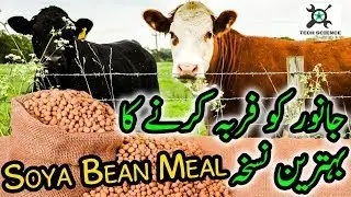 Wanda Formula for Meat from Dr Ashraf Sahibzada |Episode 3 Tech Science