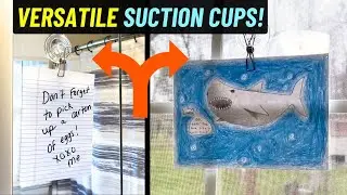 Why might you need SUCTION CUP CLIPS? Check out how and where these come in handy!