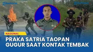 TNI Terlibat Kontak Tembak dengan KKB Papua, Praka Satria Taopan Gugur