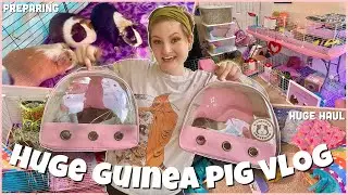 I ADOPTED TWO GUINEA PIGS🐽✨| VLOG |