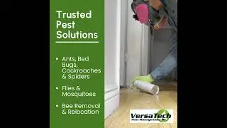 Pest Control for Ants, Bed Bugs, Cockroaches & more | Versa-Tech&reg; | LA County Exterminator