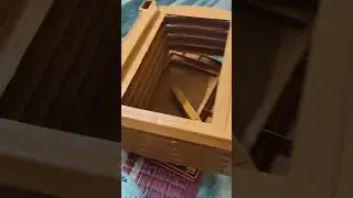 #homestorageorganizer #6compartment #unboxing