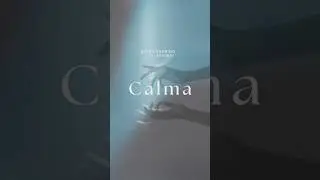 C A L M A una canci&oacute;n para tu tranquilidad #producer #edmmusic #producerlife #electronicmusic