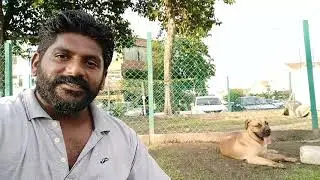 How i Started Dog Psychology Centre in Malaysia | Dare to dream | malaysia DOG Training | SAMSWAY&trade;