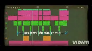 🌴🎵🎶lagu rmx niax efer by entex🌴🎶