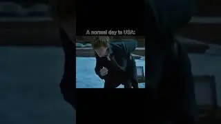 A Normal Day in USA Be Like #harrypotter #fantasticbeasts
