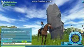 Horse Intro: Skyrebel (Sky)