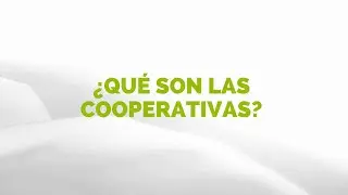 ¿Qué son las cooperativas? | Asata