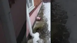 ПОТЕПЛЕЛО