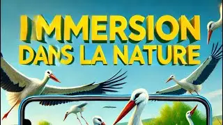 #stork les #cigognes sous l&rsquo;&oelig;il de mon IPhone &hellip; immersion au c&oelig;ur de la nature 🐦 🪶